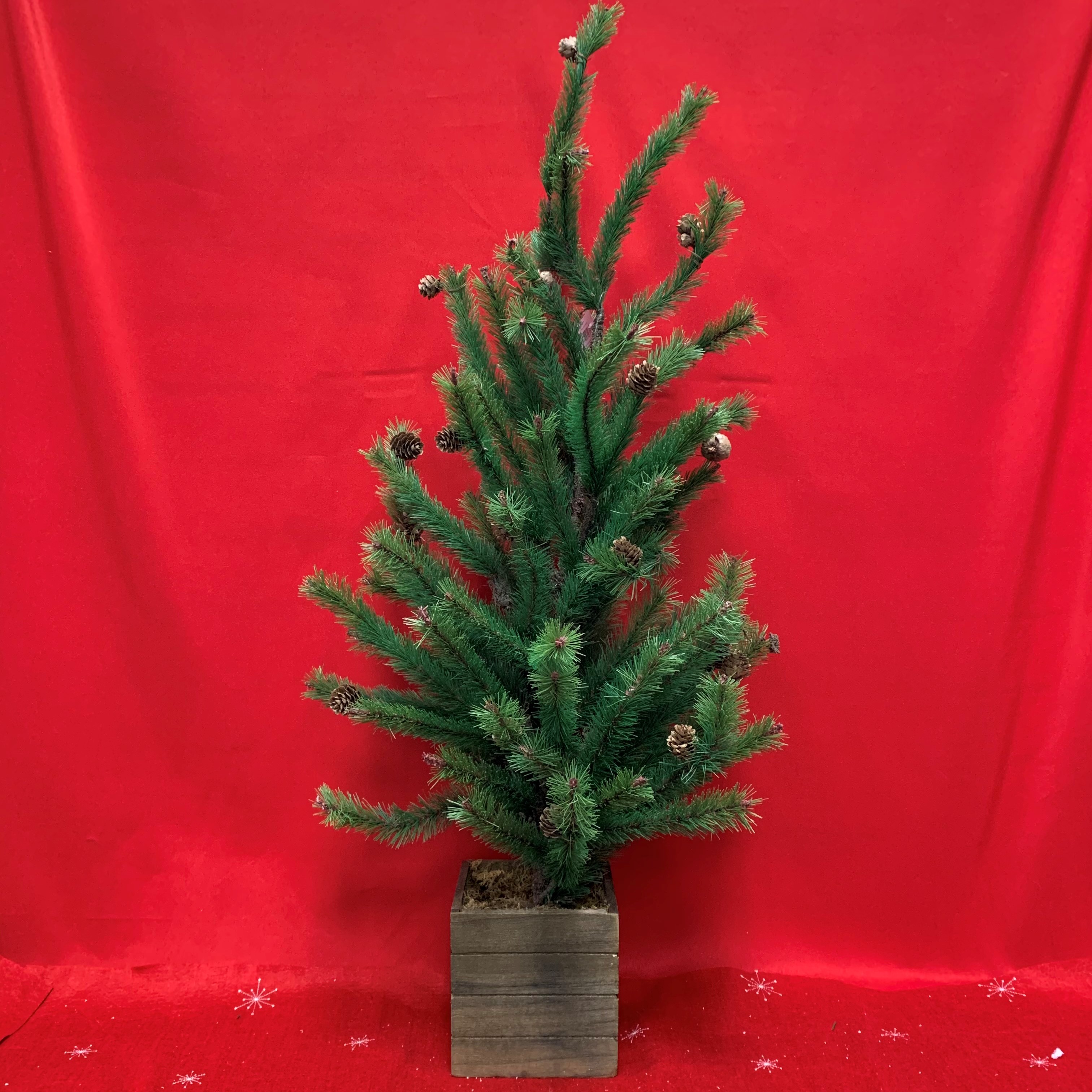 PINE TREE WITH CONTAINER